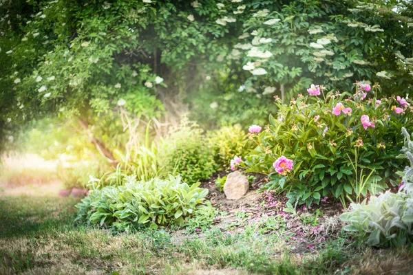 Choosing the Right Mulch for Your Garden